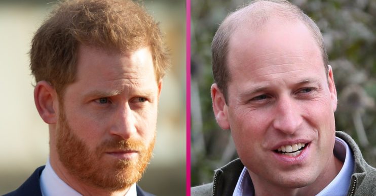 prince william prince harry feud