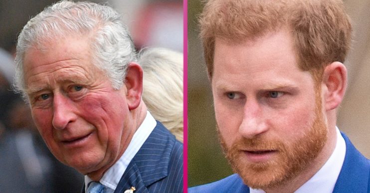 prince harry prince charles