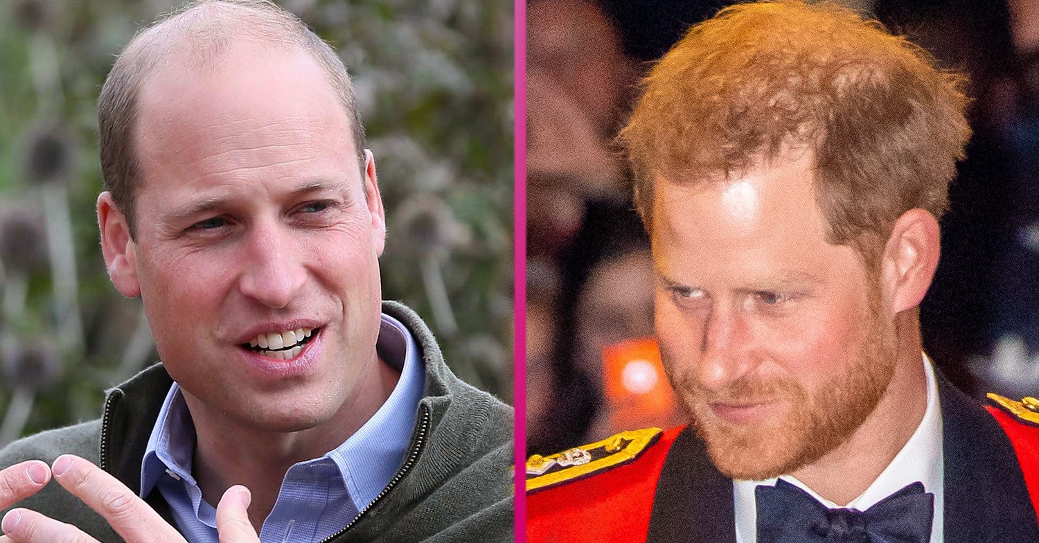 prince william prince harry