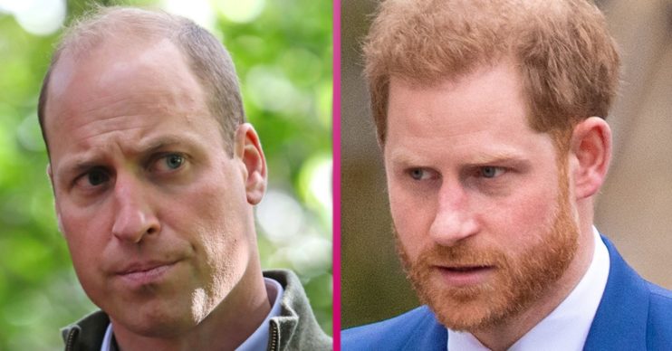 prince william prince harry megxit