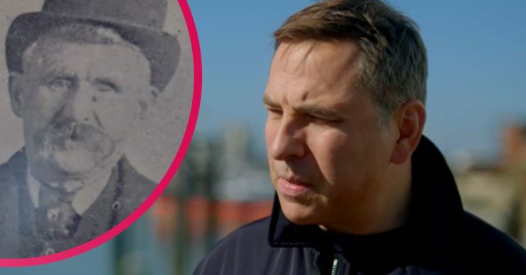 Who Do You Think You Are David Walliams