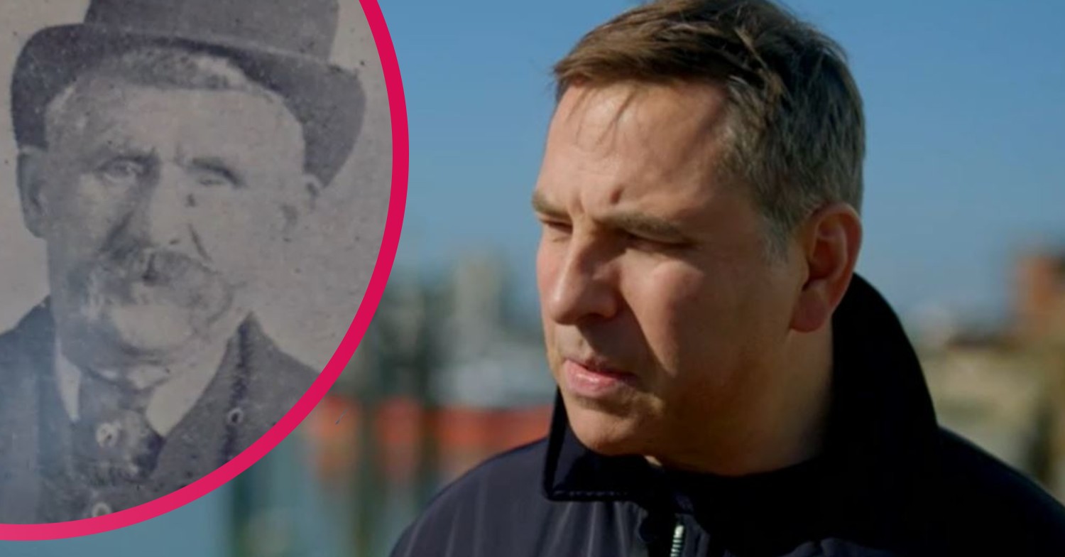 Who Do You Think You Are David Walliams