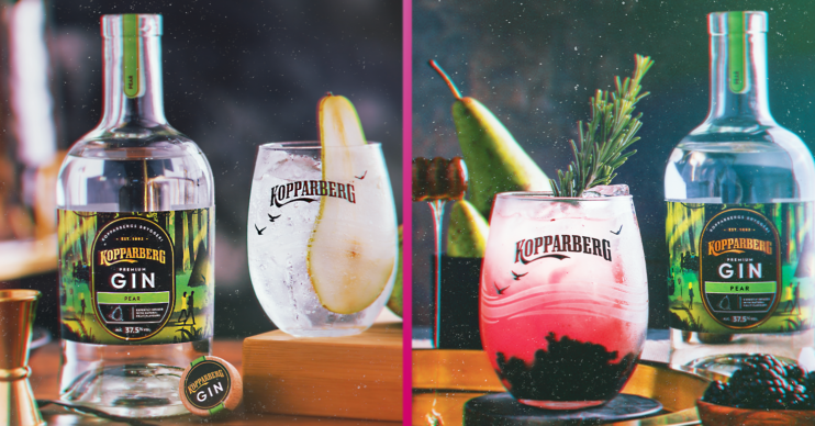 kopparberg gin