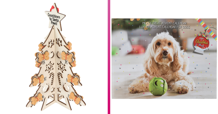 dog advent calendars