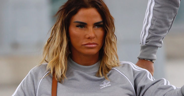 Katie Price will attend a bankruptcy meeting via Zoom
