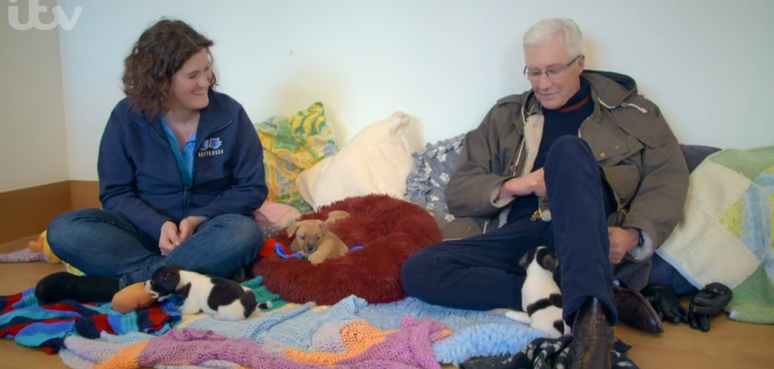 Paul O'Grady on For the Love of Dogs