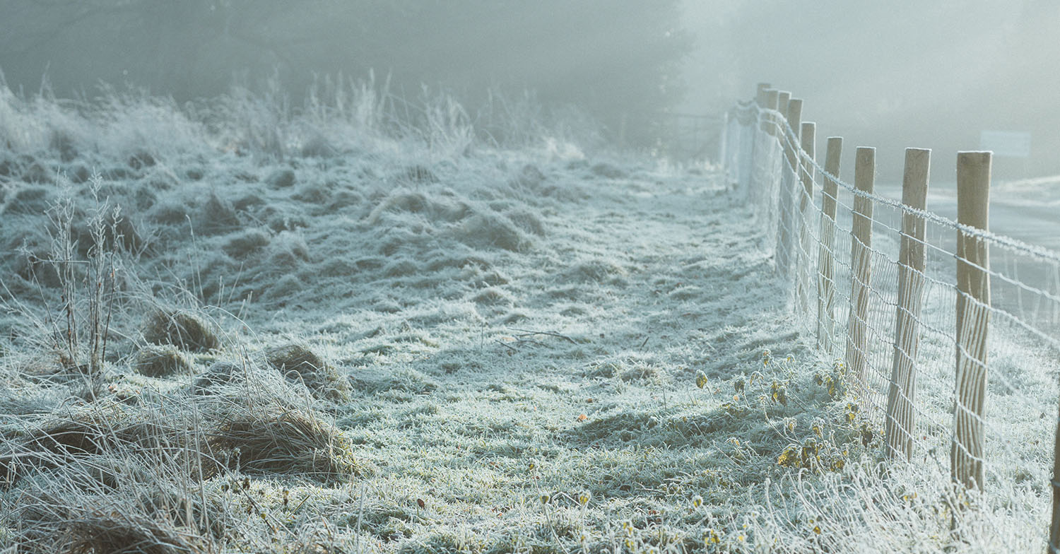 november freezing