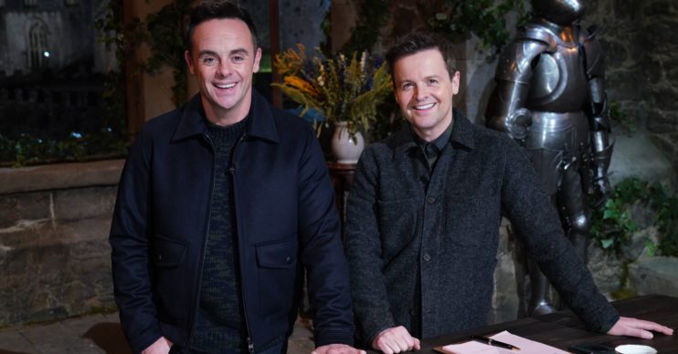 ant and dec on I'm a celeb