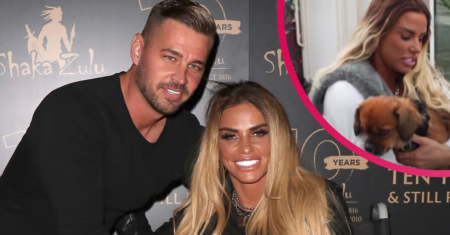 carl woods and katie price