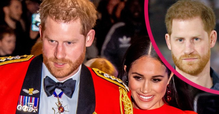 prince harry and meghan markle