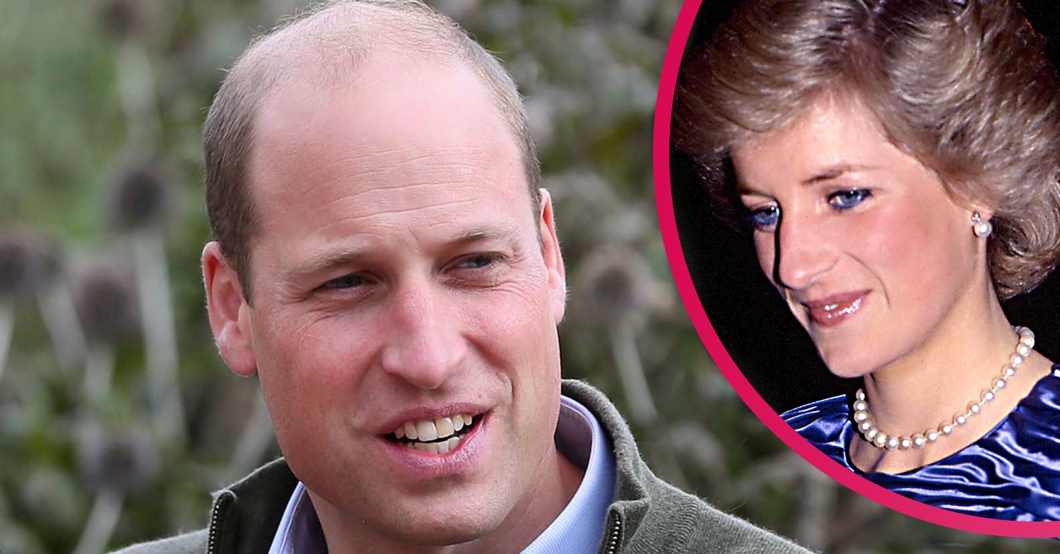 prince william and princess diana