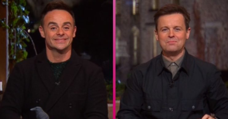 I'm A Celebrity Ant and Dec (4)