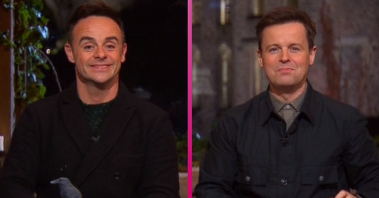 I'm A Celebrity Ant and Dec (4)