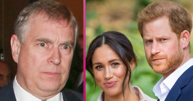 prince andrew and prince harry and meghan markle