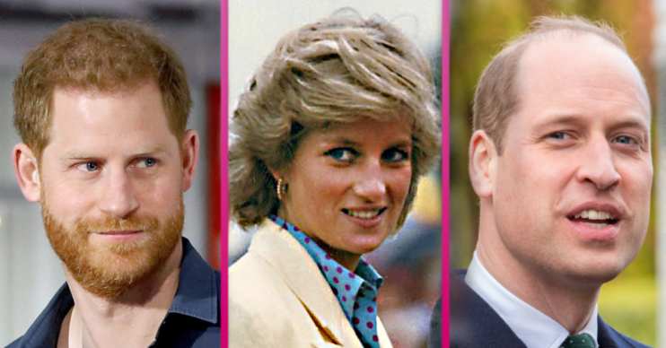 Princess Diana would have brought William and Harry together again