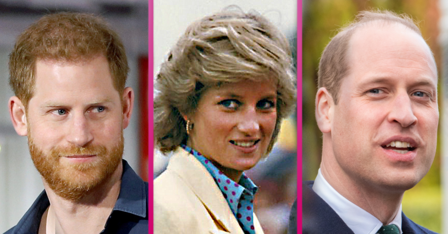 Princess Diana would have brought William and Harry together again