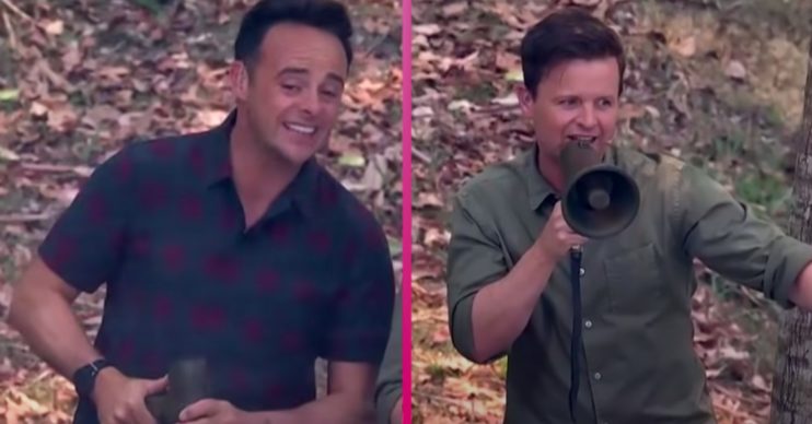 Ant and Dec preside over Celebrity Cyclone