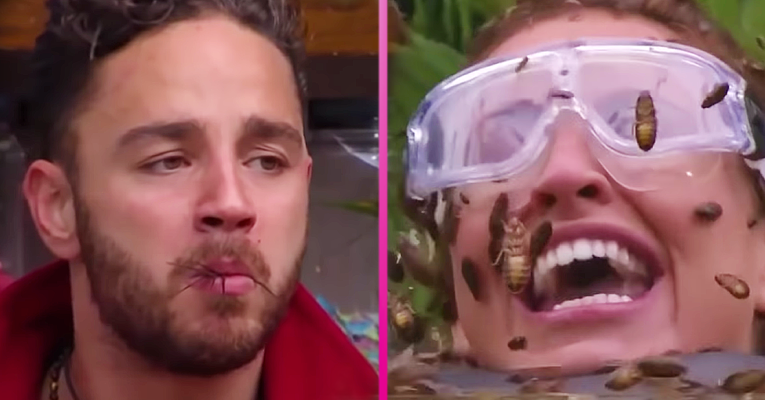 I'm A Celebrity trials