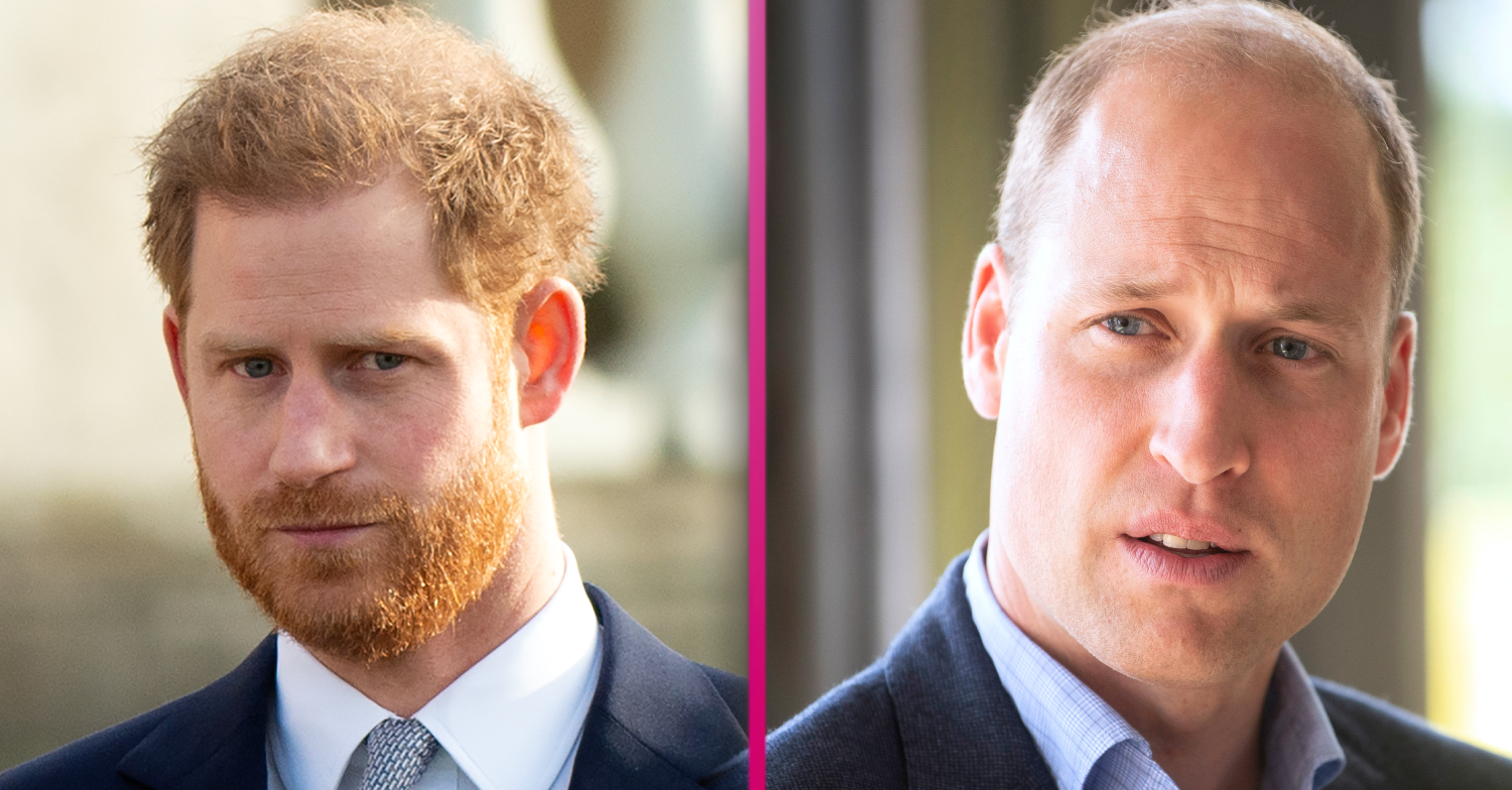 Prince William BBC inquiry