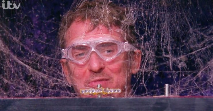 i'm a celebrity fix