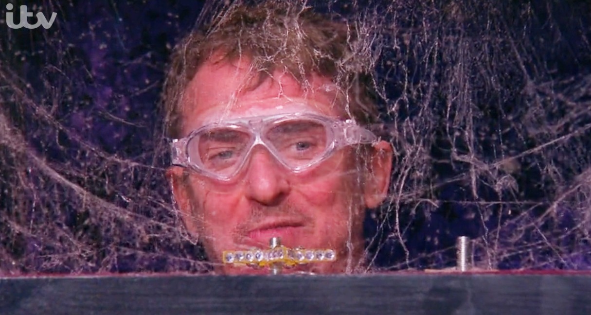 i'm a celebrity fix