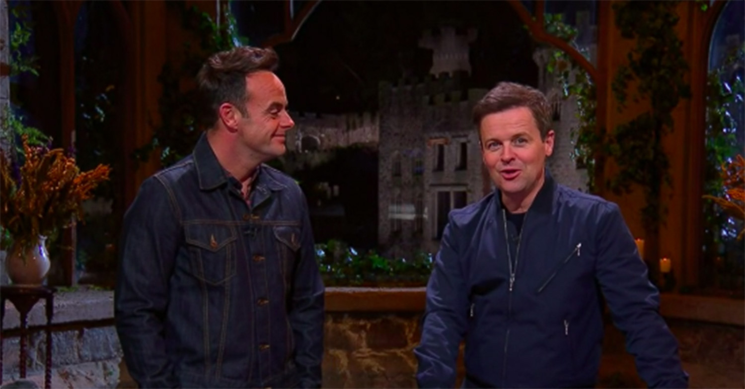ant and dec im a celebrity