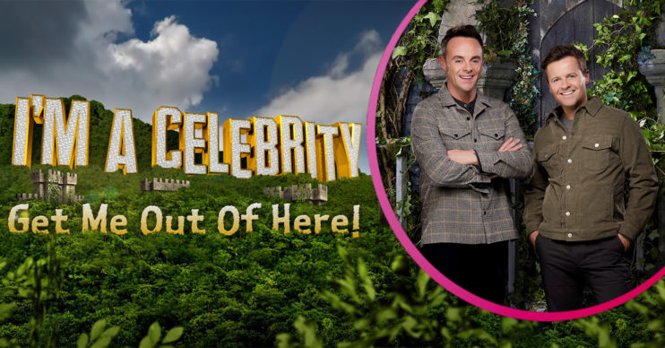 Where in Wales is I'm a Celebrity 2020