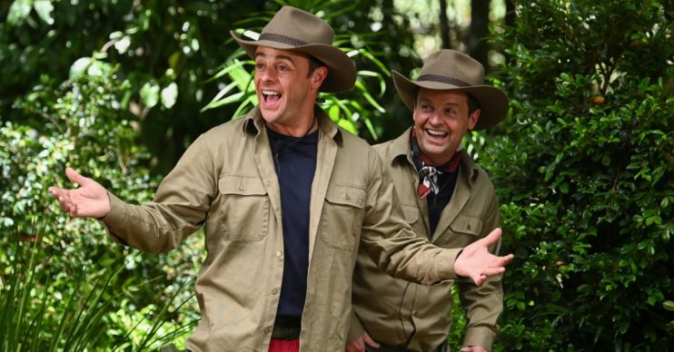 Ant and Dec take part in IAC 2020 Jungle story