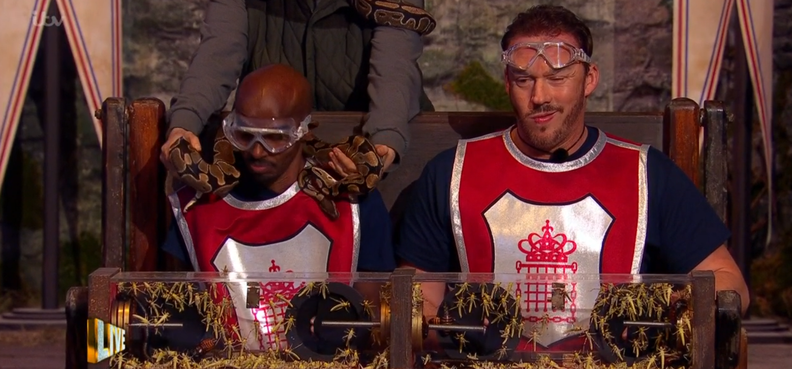 I'm A Celebrity live trial