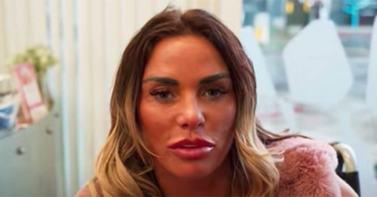 katie price puppy