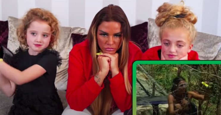 katie price on i'm a celebrity