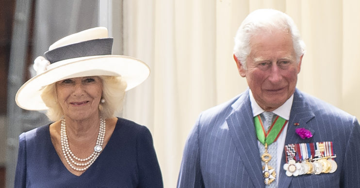 prince charles and camilla hedgehogs