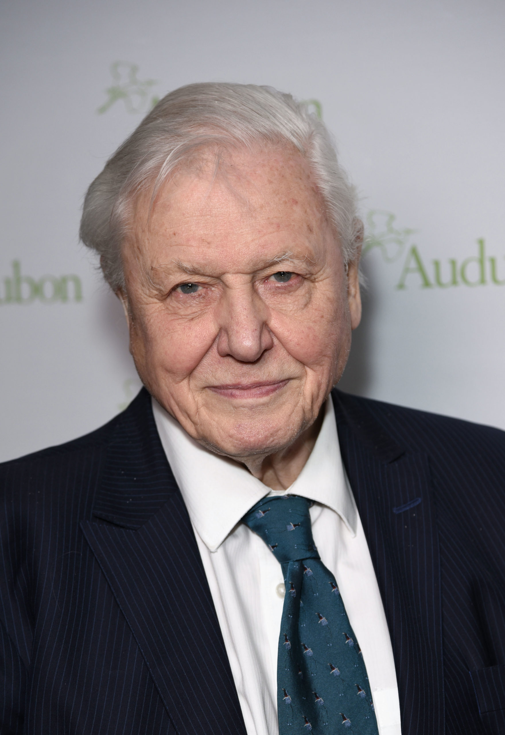 David Attenborough, host of A Perfect Planet