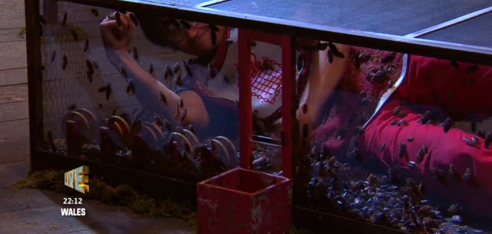 Vernon Kay on I'm A Celebrity