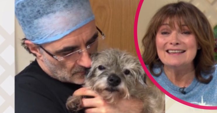 supervet lorraine