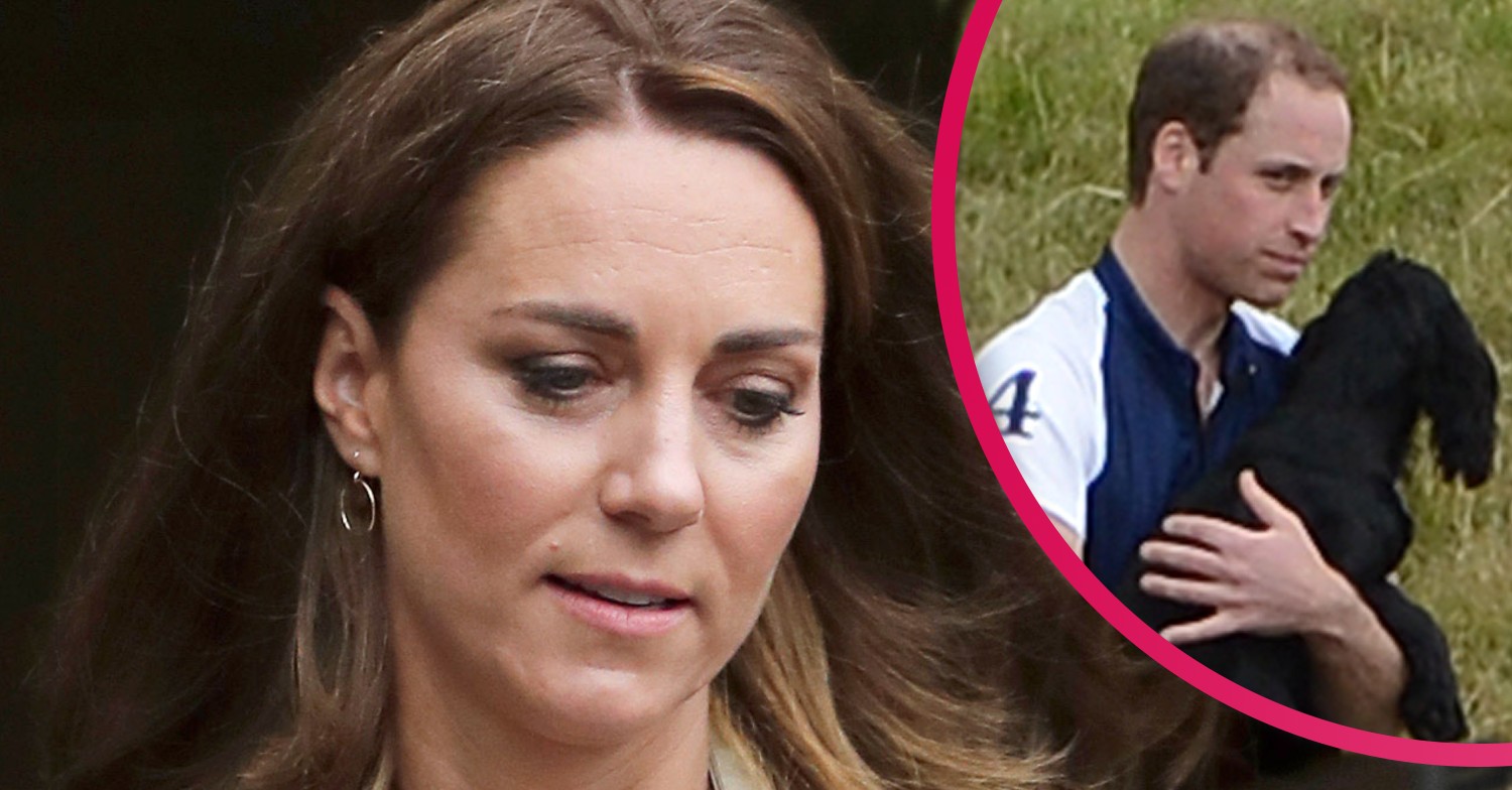kate middleton dog lupo