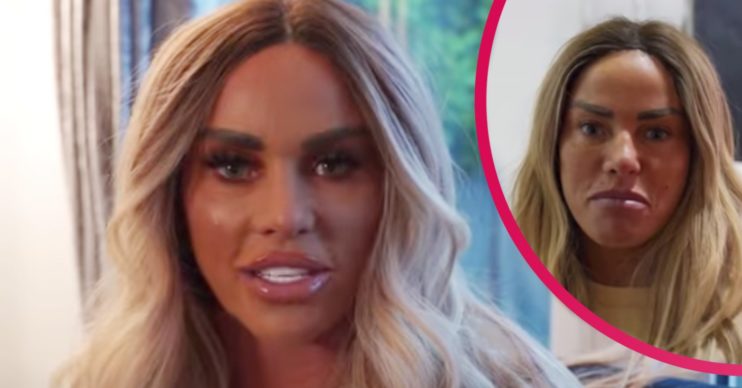 katie price pets petition ban