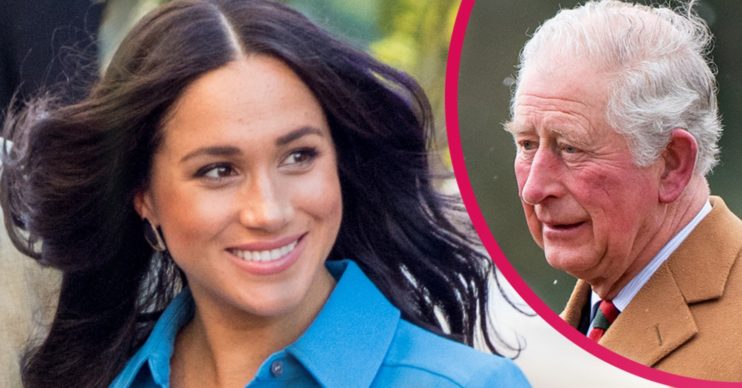 meghan markle writes novels story