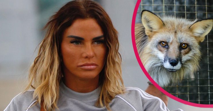 katie price fox fur