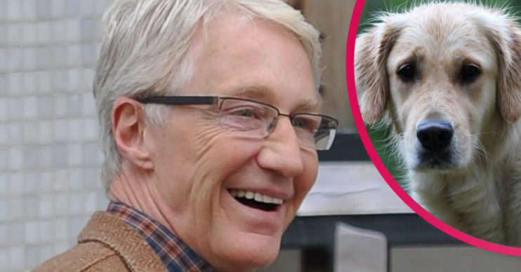 paul o'grady dogs battersea