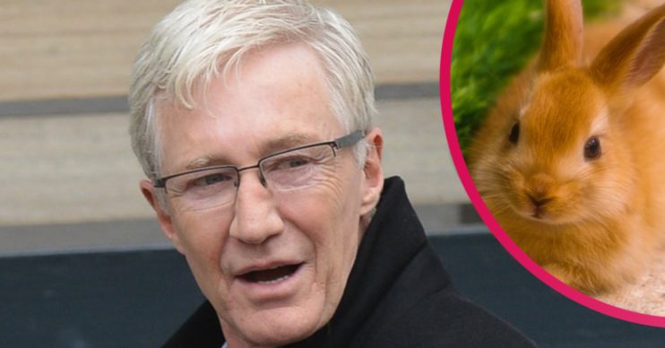 paul o'grady rabbits