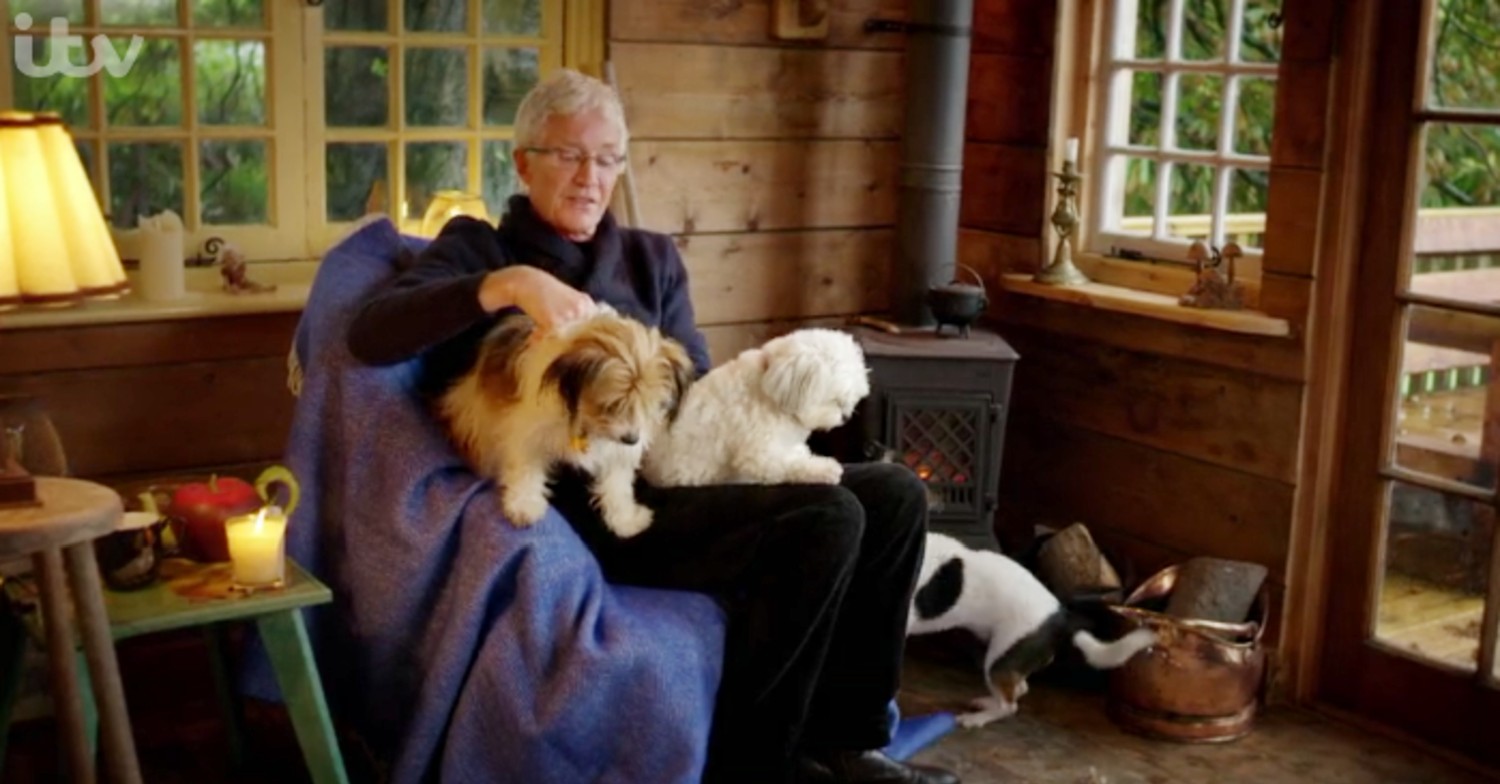 paul o'grady, who is filming a new series of for the love of dogs