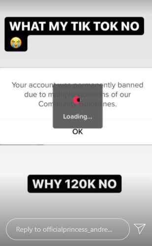 A screenshot about Princess' ban
