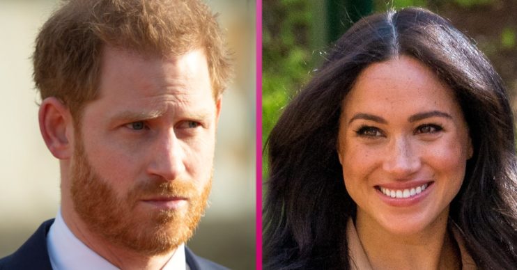 prince harry and meghan markle likely to write books next says expert