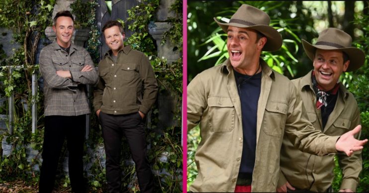 I'm A Celebrity 2020