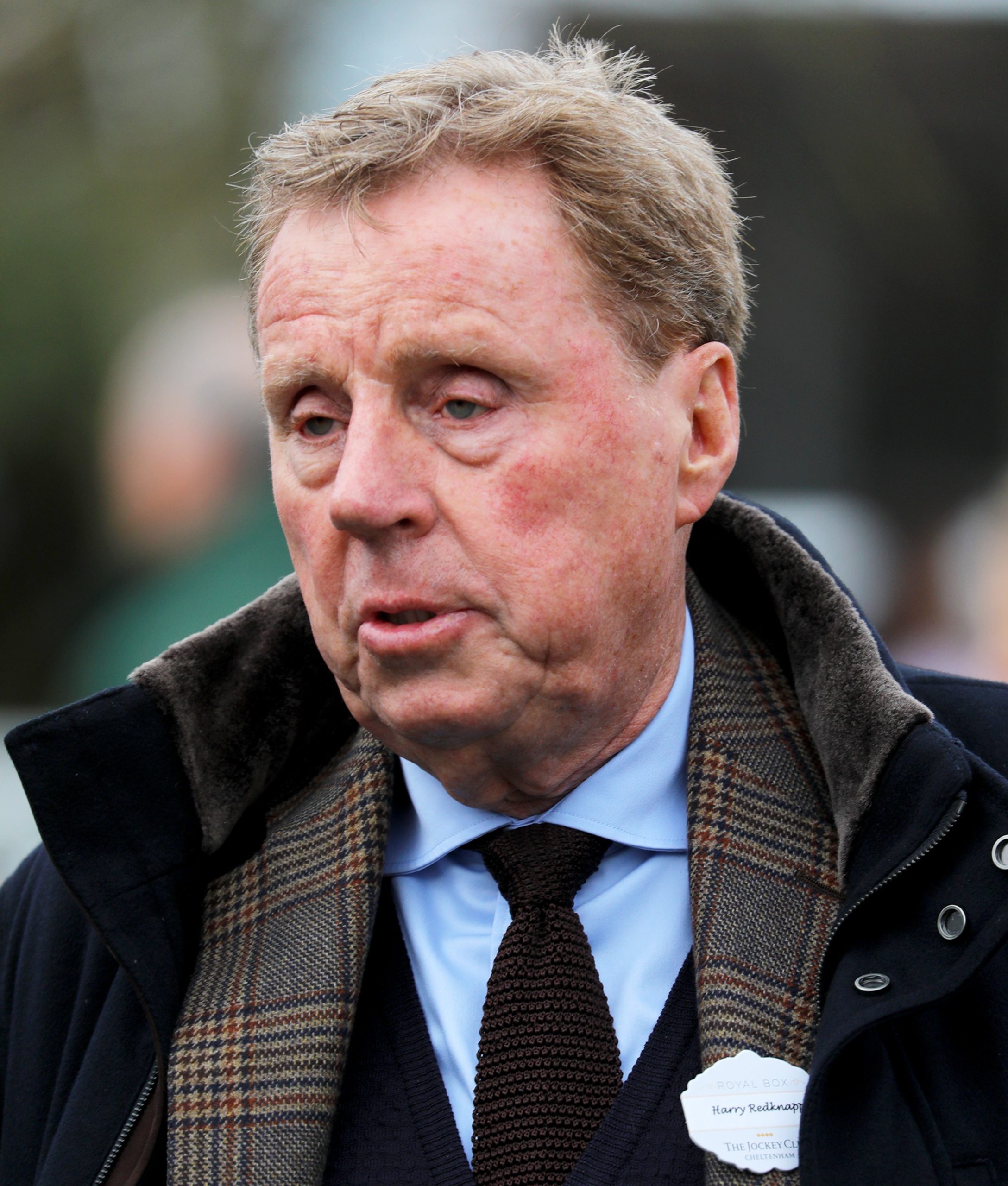 Harry Redknapp gives update on dog