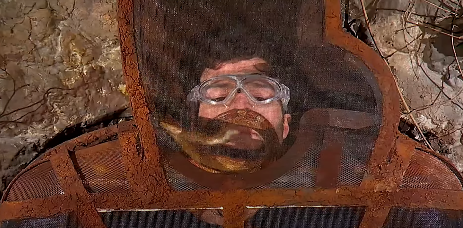 Jordan North on I'm A Celebrity