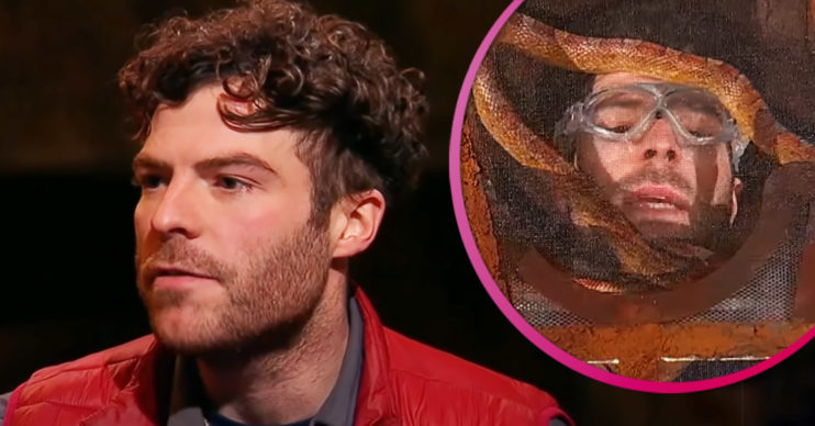 Jordan North on I'm A Celebrity
