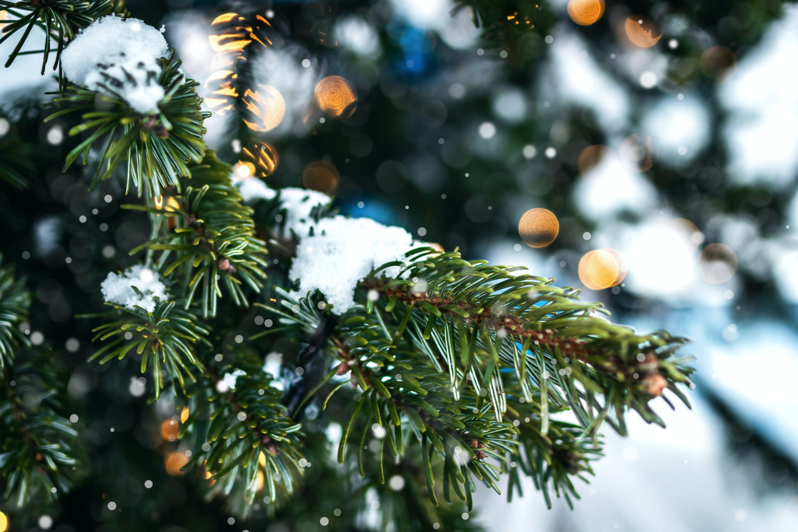 Odds slashed for white christmas in the UK
