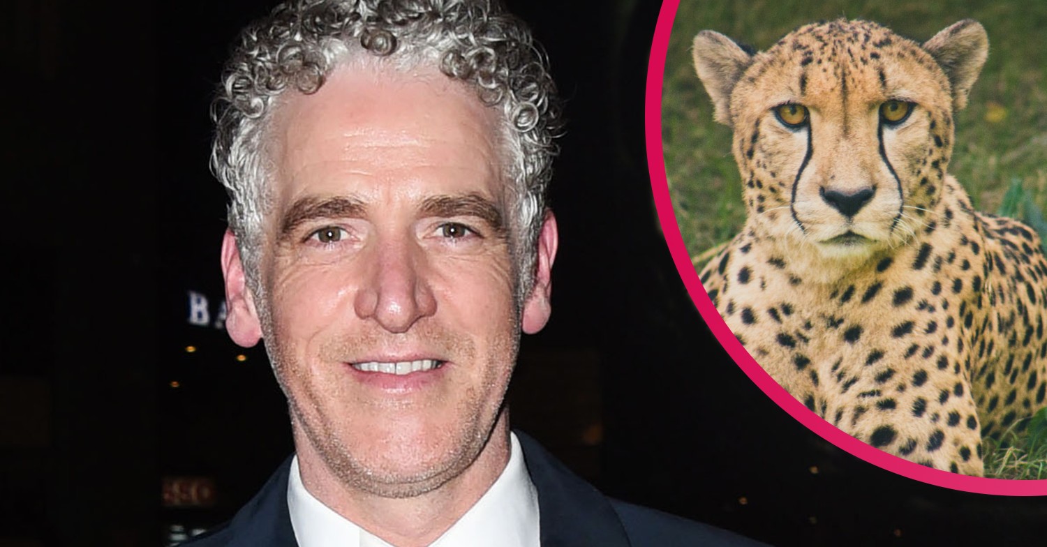 gordon buchanan bbc two cheetah documentary